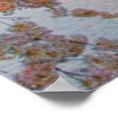 Kersenbloesem Poster (Hoek)