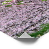 kersenbloesem poster VAN 8.99 (Hoek)