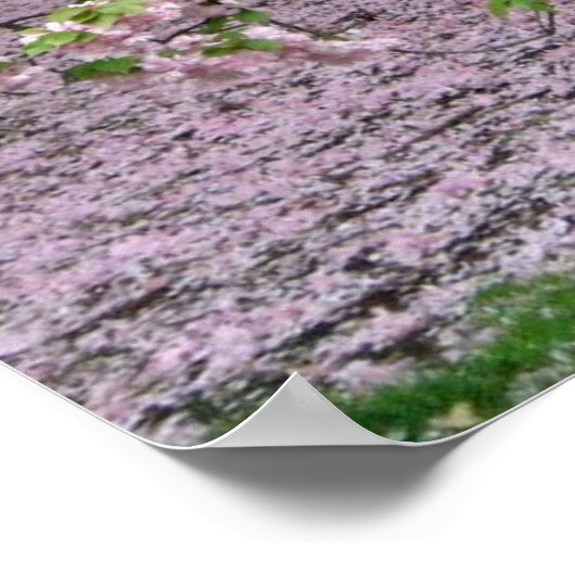 kersenbloesem poster VAN 8.99 (Hoek)