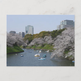 Kersenbloesem (Sakura) seizoen in Tokio, Japan Briefkaart