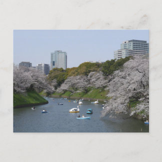 Kersenbloesem (Sakura) seizoen in Tokio, Japan Briefkaart