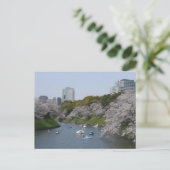 Kersenbloesem (Sakura) seizoen in Tokio, Japan Briefkaart (Staand voorkant)