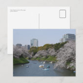 Kersenbloesem (Sakura) seizoen in Tokio, Japan Briefkaart (Voorkant / Achterkant)