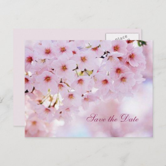 Kersenbloesem Save the Date aankondiging briefkaar (Voorkant / Achterkant)