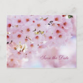 Kersenbloesem Save the Date aankondiging briefkaar (Voorkant)