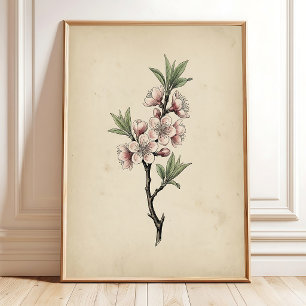 Kersenbloesem Vintage Print Wandkunst
