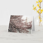 Kersenbloesem Washington DC Kaart (Gele Bloem)