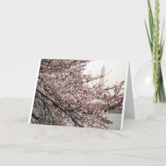 Kersenbloesem Washington DC Kaart