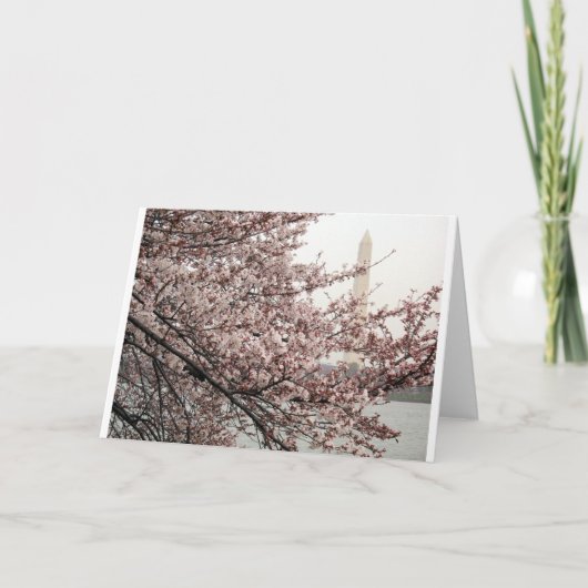 Kersenbloesem Washington DC Kaart (Voorkant)