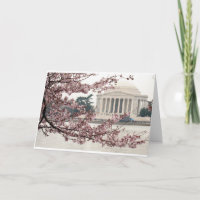 Kersenbloesem Washington DC