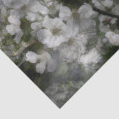 Kersenbloesem Weefselpapier Tissuepapier (Detail)