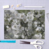 Kersenbloesem Weefselpapier Tissuepapier (Craft)