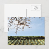 Kersenbloesem: Zojoji-tempel, Tokio, Japan Postca Briefkaart (Voorkant / Achterkant)