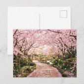Kersenbloesembomen Briefkaart (Voorkant / Achterkant)