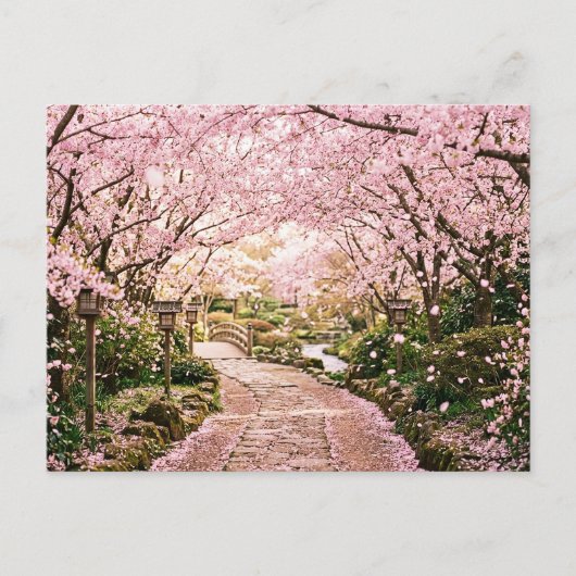 Kersenbloesembomen Briefkaart (Voorkant)