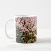 Kersenbloesembomen Koffiemok (Links)