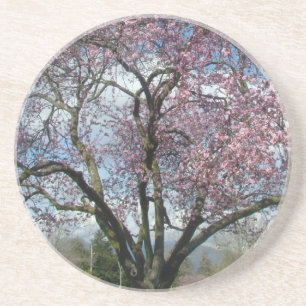 Kersenbloesemboom,Blauwe lucht en wolken Zandsteen Onderzetter