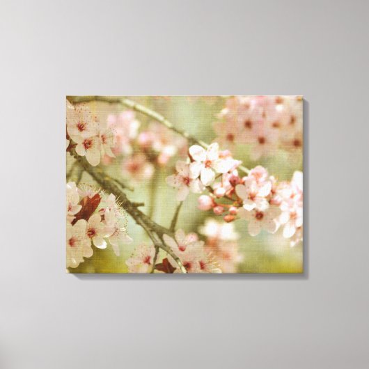 Kersenbloesemboom bloem canvas afdruk (Voorkant)