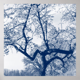 Kersenbloesemboom, Delfts Blauw Poster