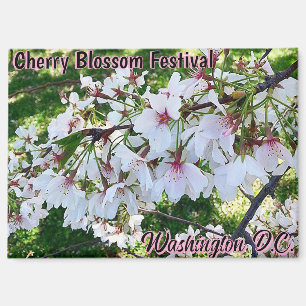 Kersenbloesemfestival Washington D.C. magneet