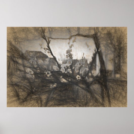 Kersenbloesemindruk Poster (Voorkant)