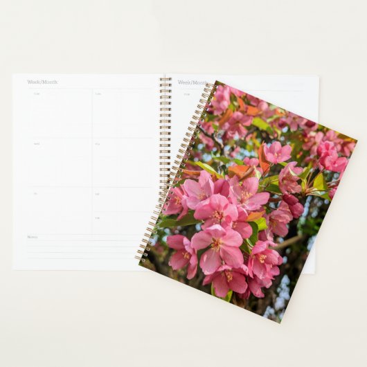 Kersenbloesemplanner Planner (Display)