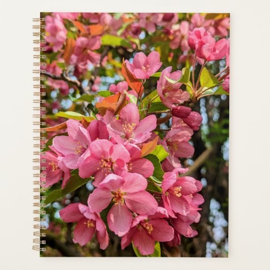 Kersenbloesemplanner Planner (Voorkant)