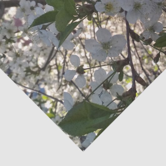 Kersenbloesems 10lb Tissue Paper, Wit Tissuepapier (Detail)