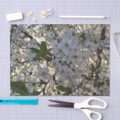 Kersenbloesems 10lb Tissue Paper, Wit Tissuepapier (Craft)