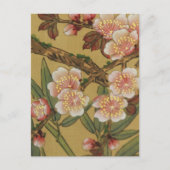  kersenbloesems aziatisch japans briefkaart (Voorkant)