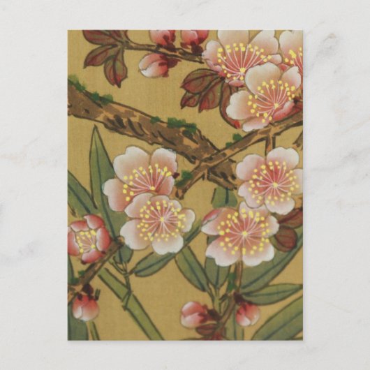  kersenbloesems aziatisch japans briefkaart (Voorkant)