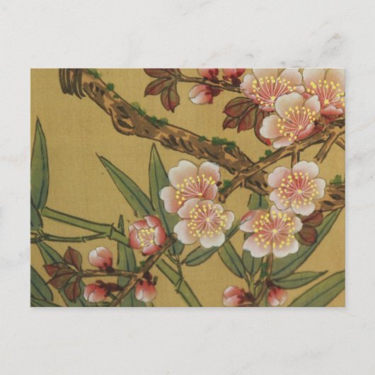  kersenbloesems aziatisch japans briefkaart (Voorkant)