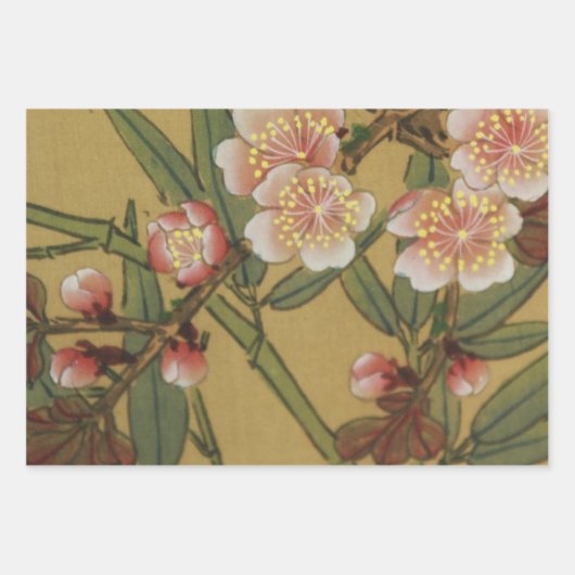 kersenbloesems aziatisch japans inpakpapier vel (Voorkant 3)