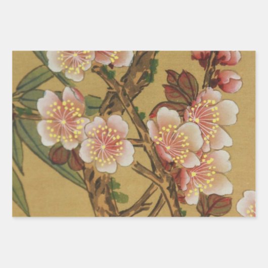  kersenbloesems aziatisch japans inpakpapier vel (Voorkant 2)