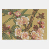 kersenbloesems aziatisch japans inpakpapier vel (Voorkant)