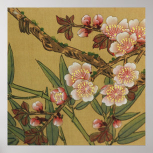 kersenbloesems aziatisch japans poster