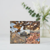 Kersenbloesems bij DC's Tidal Basin Briefkaart (Staand voorkant)