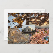 Kersenbloesems bij DC's Tidal Basin Briefkaart (Voorkant / Achterkant)