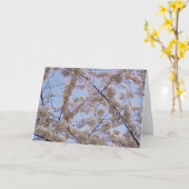 'Kersenbloesems' Blank Wenskaart Kaart (Gele Bloem)