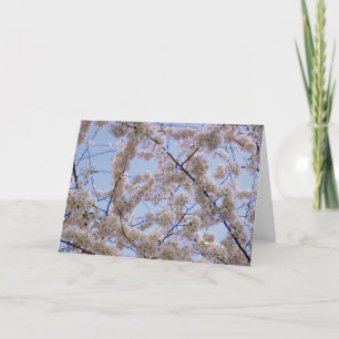 'Kersenbloesems' Blank Wenskaart Kaart