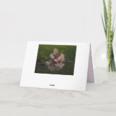 Kersenbloesems Bloemstuk Blank Gevouwen Wenskaart Kaart (Achterkant)