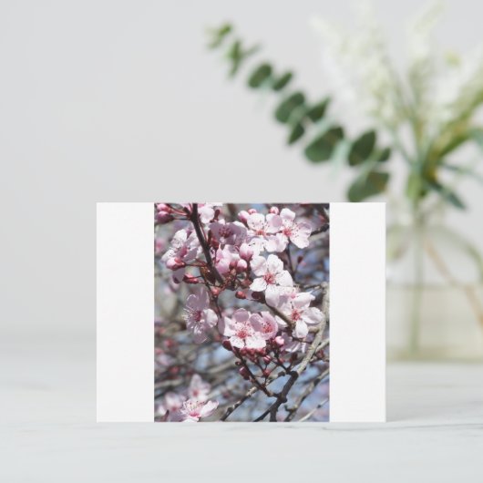 kersenbloesems briefkaart (Staand voorkant)