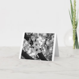 Kersenbloesems BW - Blank gevouwen Kaart