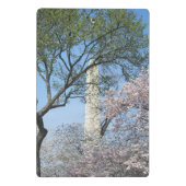 Kersenbloesems en het Washington Monument in DC Mini Klembord (Achterkant)