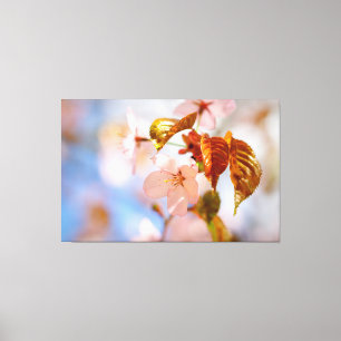 Kersenbloesems en oranje bladeren in de lente canvas afdruk