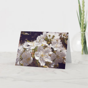 Kersenbloesems. Fijne Pasen. Feestdagen Kaart