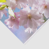 Kersenbloesems in de lente tissuepapier (Detail)