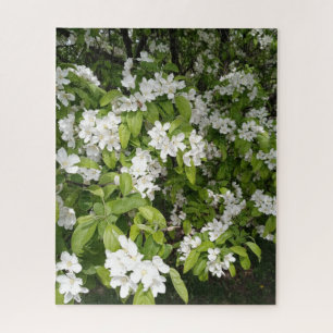 Kersenbloesems in de schaduw en in het licht legpuzzel