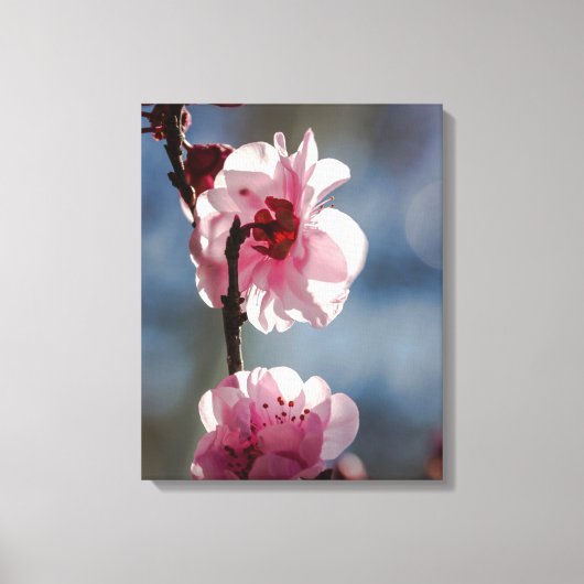 Kersenbloesems in de Sunshine Triptiek Kunst Canvas Afdruk (Voorkant)