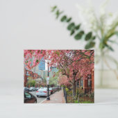 Kersenbloesems in het Boston Massachusetts Briefka Feestdagenkaart (Staand voorkant)